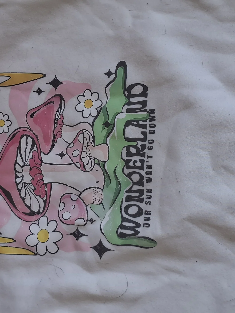 SHEIN White Tee with Pink Mushroom & Green Wave Graphic